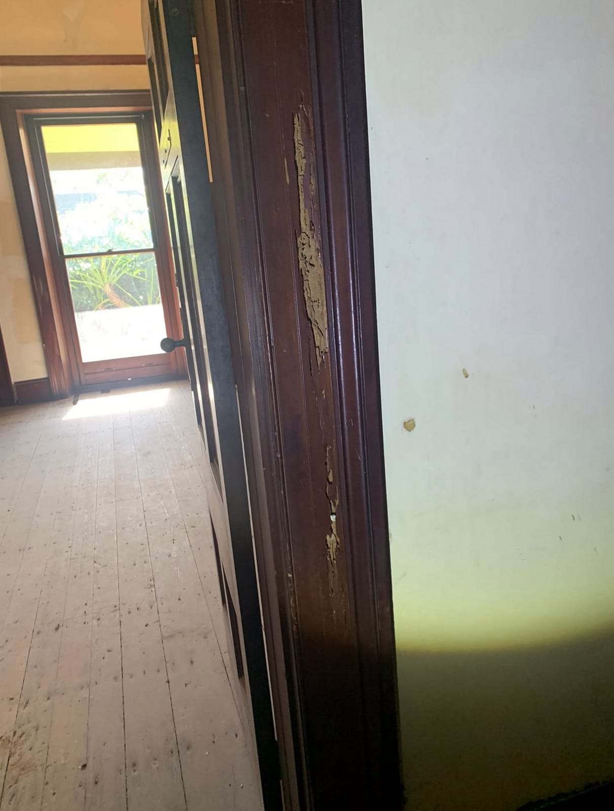 Interior door frame with termite damage and mud trails running up the wood beside a bare wood floor